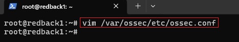Config Wazuh Agent 1
