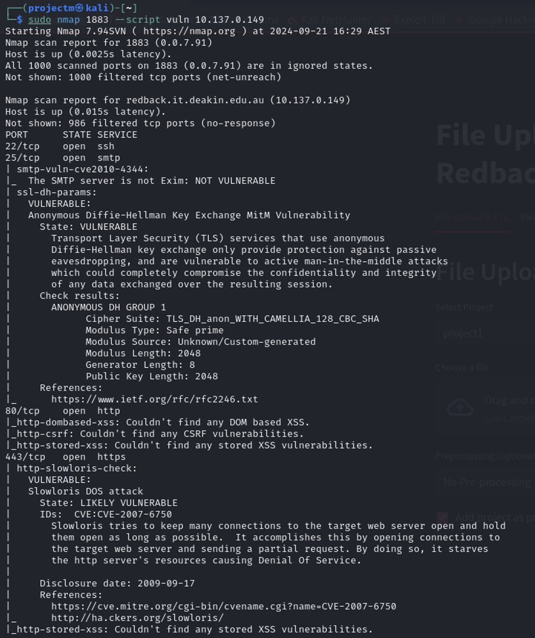 Vulnerability Scanning of the MQTT Port