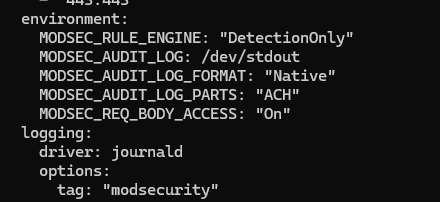 Docker compose vars
