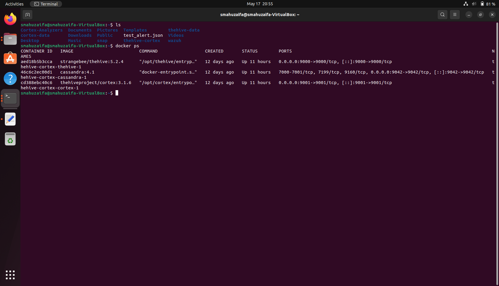 output of docker ps command