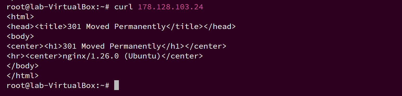 Terminal command output from Linux curl test