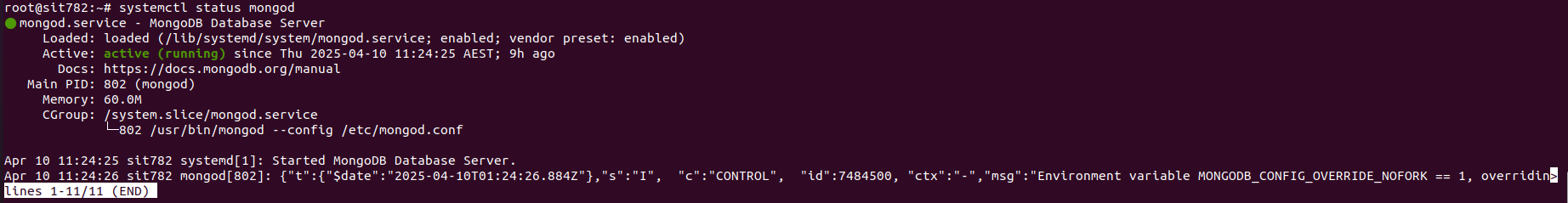 MongoDB Status