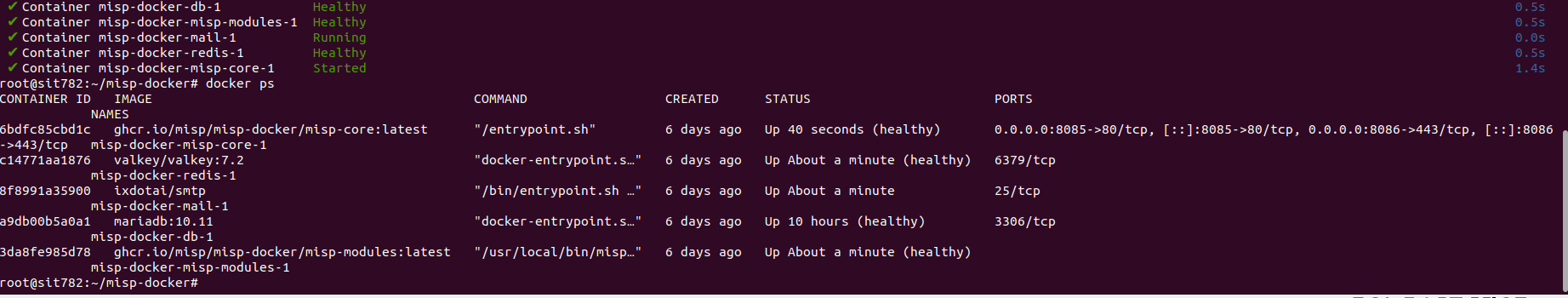 MISP Docker status