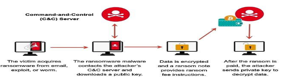 Root Access 