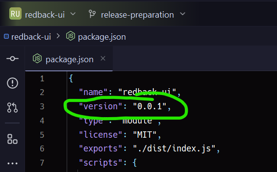 Version in package.json