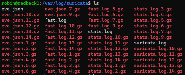 Suricata log dir