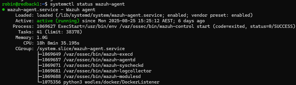 Wazuh agent service